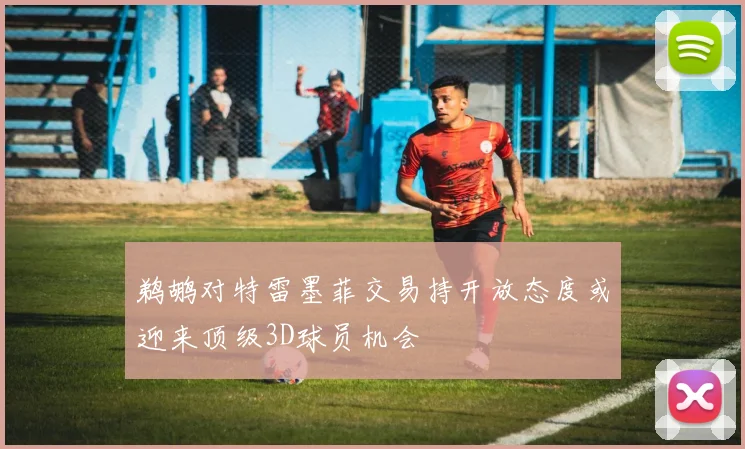 鹈鹕对特雷墨菲交易持开放态度或迎来顶级3D球员机会
